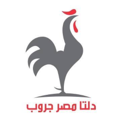 Jobs and opportunities Accountant At Delta Misr Group | Accountant Jobs in Egypt